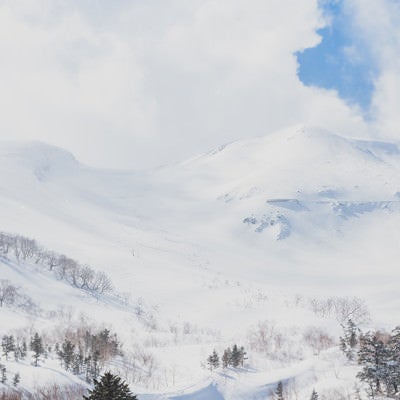 乗鞍高原に積もる雪と沸き立つ雲（北アルプス）の写真