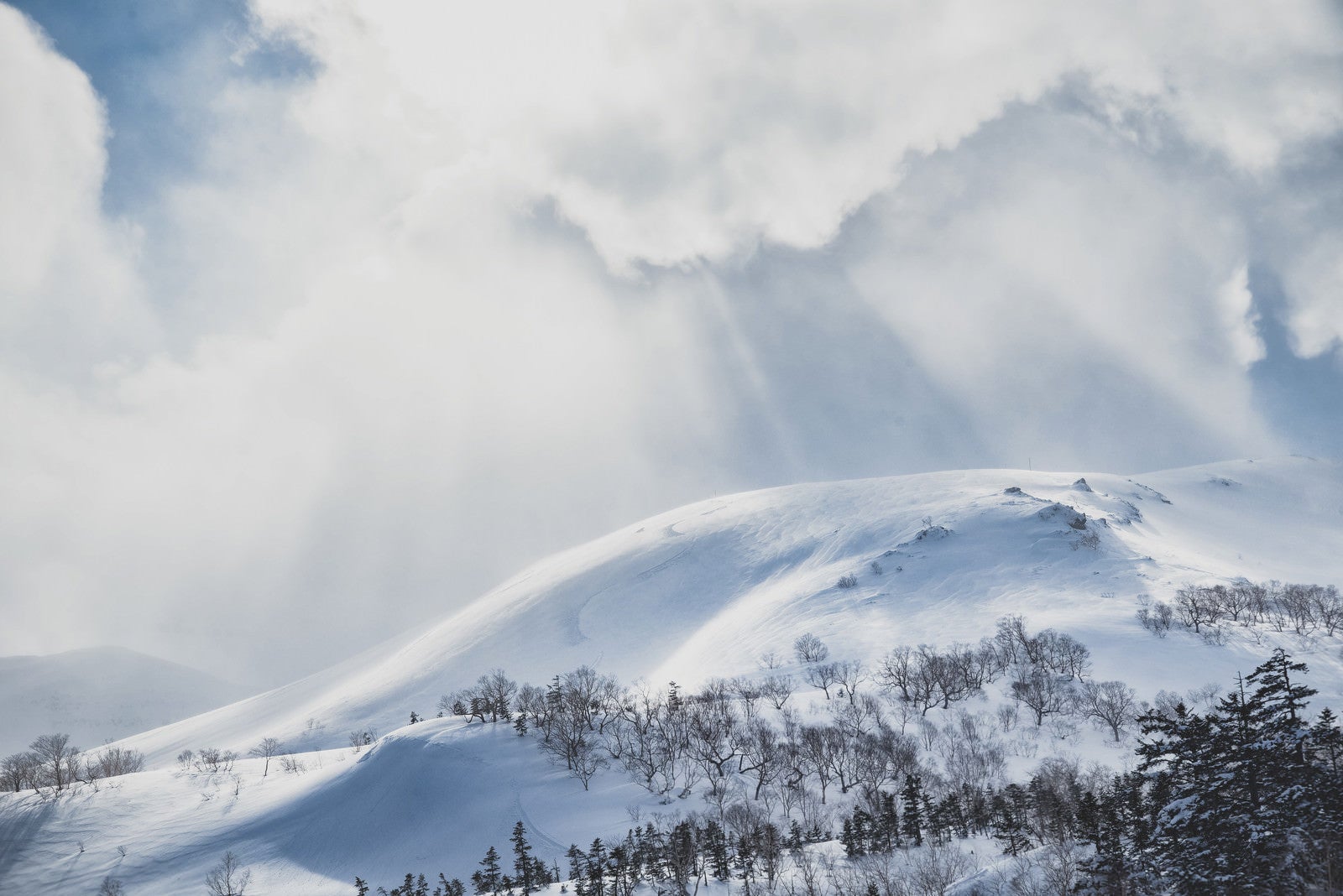 「光が舞い降りる雪の乗鞍高原（北アルプス）」の写真