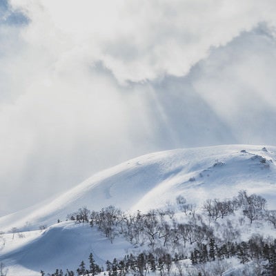 光が舞い降りる雪の乗鞍高原（北アルプス）の写真