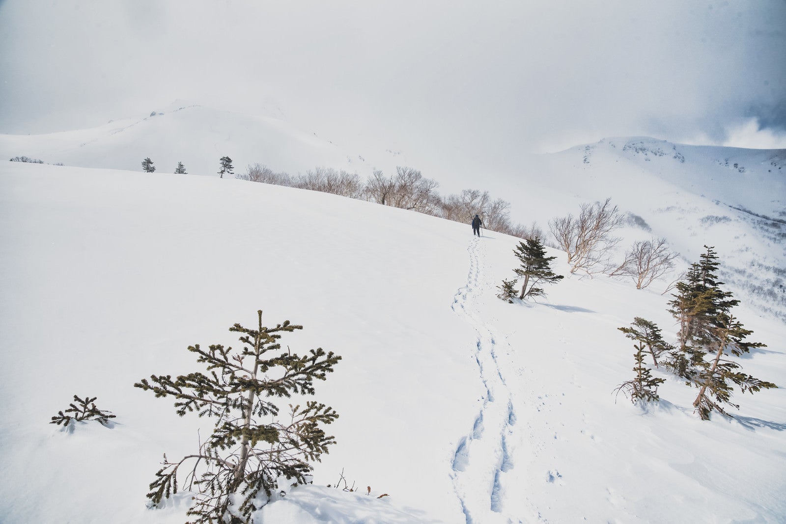 「厳冬の雪原へ向かう登山者の足跡」の写真