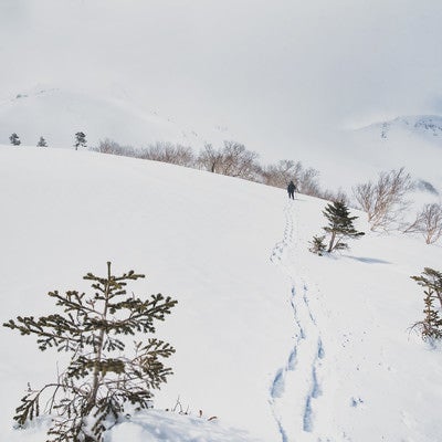 厳冬の雪原へ向かう登山者の足跡の写真