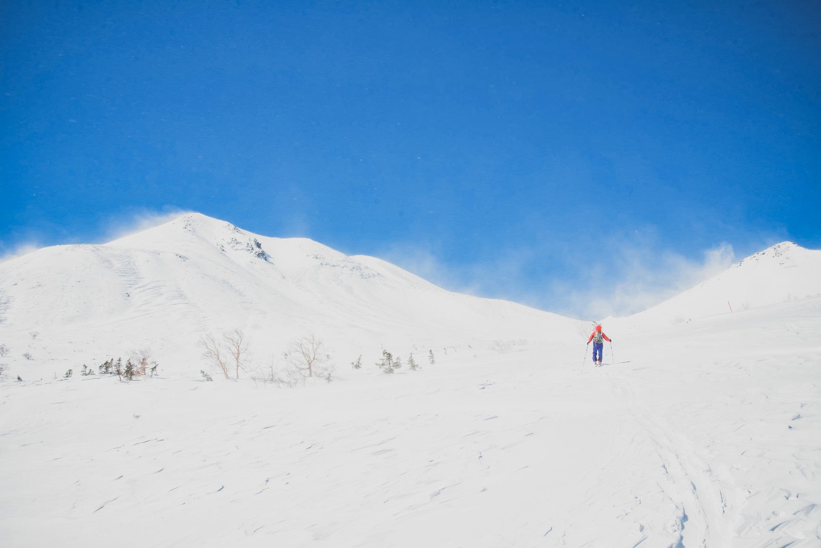 「広大な冬の乗鞍高原と登山者（北アルプス）」の写真