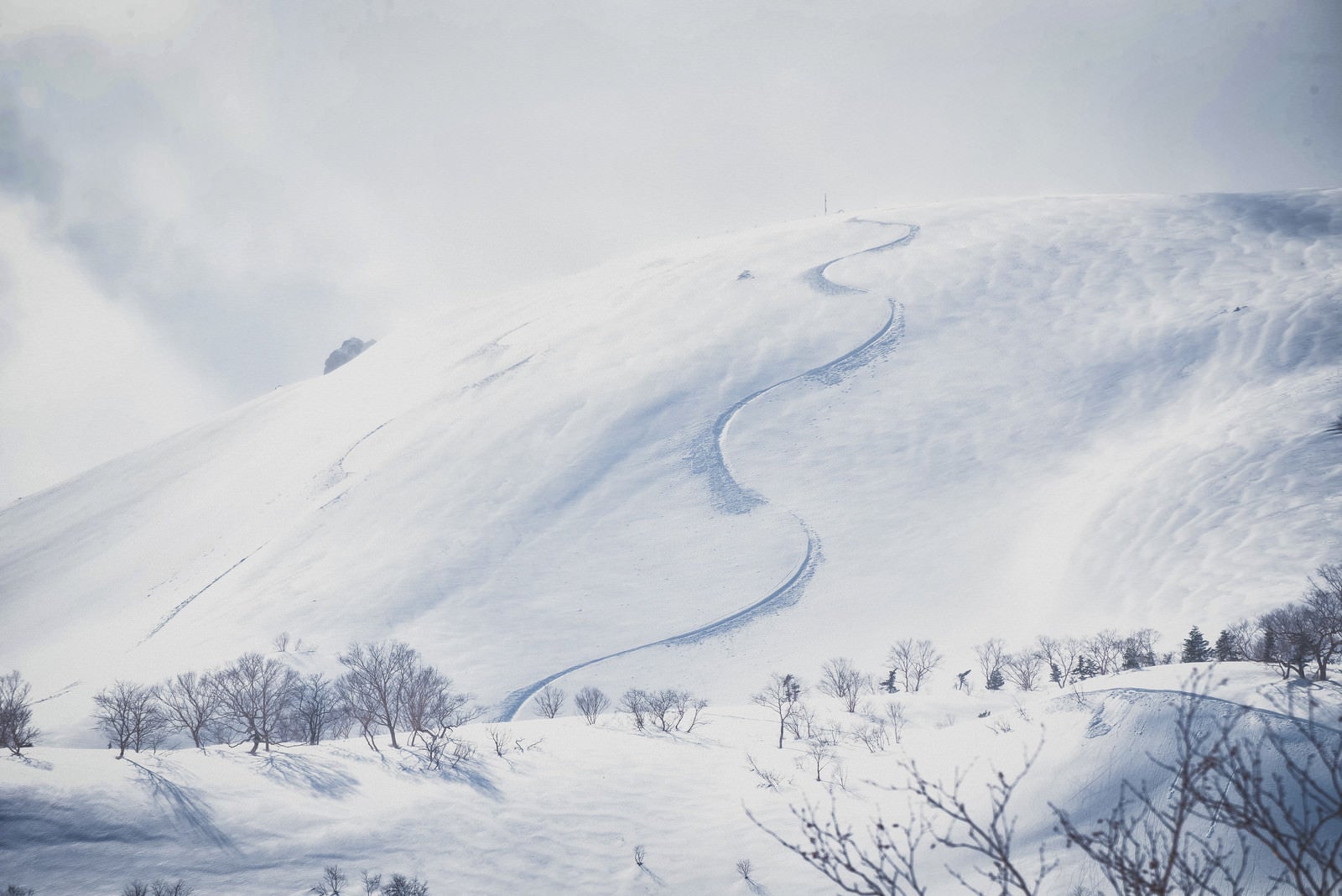「雪原の斜面に残るシュプール」の写真