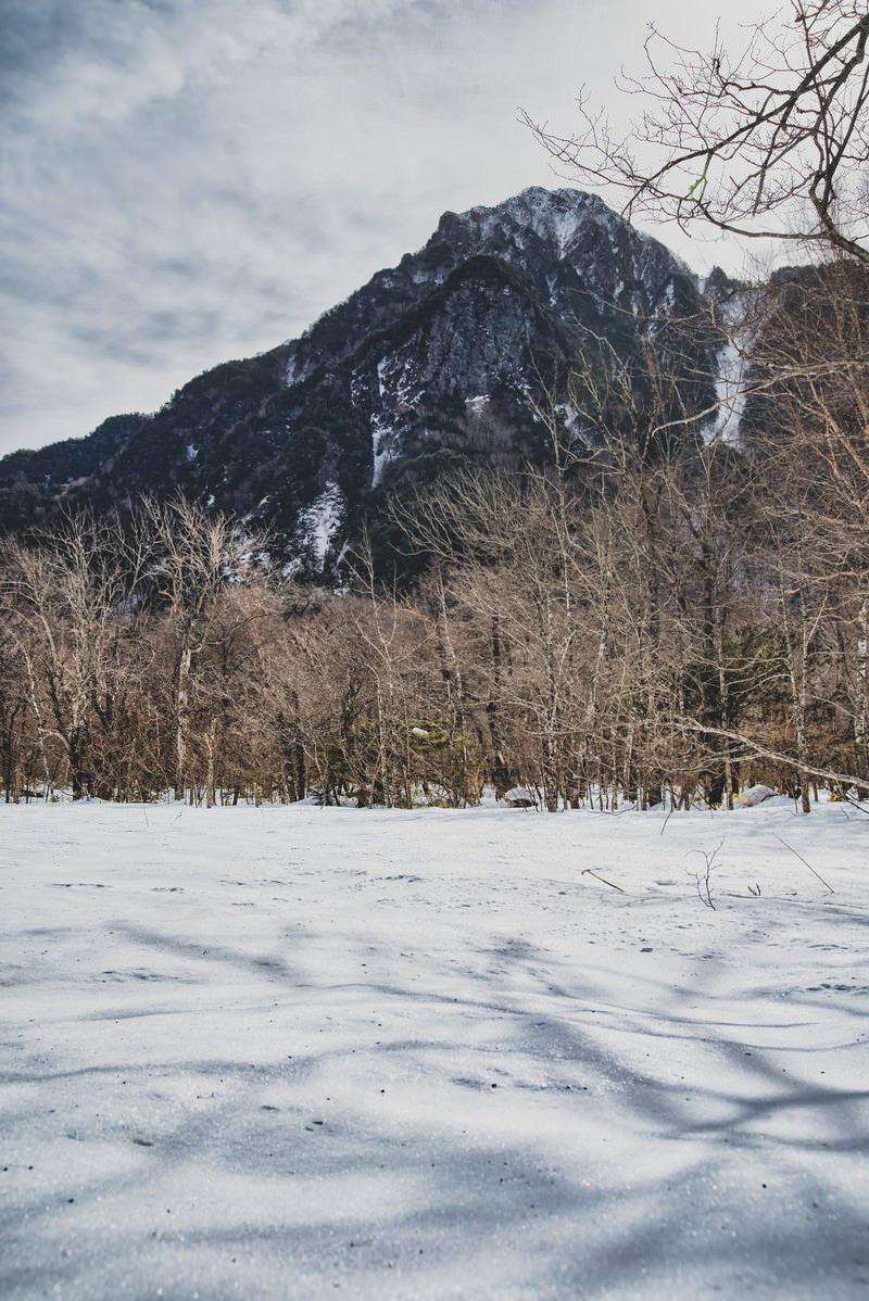 「雪原に伸びる影と六百山（ろっぴゃくざん）」の写真