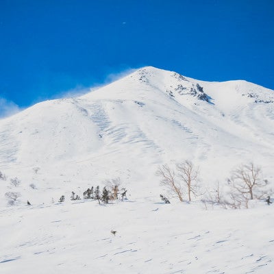 乗鞍高原から望む剣ヶ峰（北アルプス）の写真