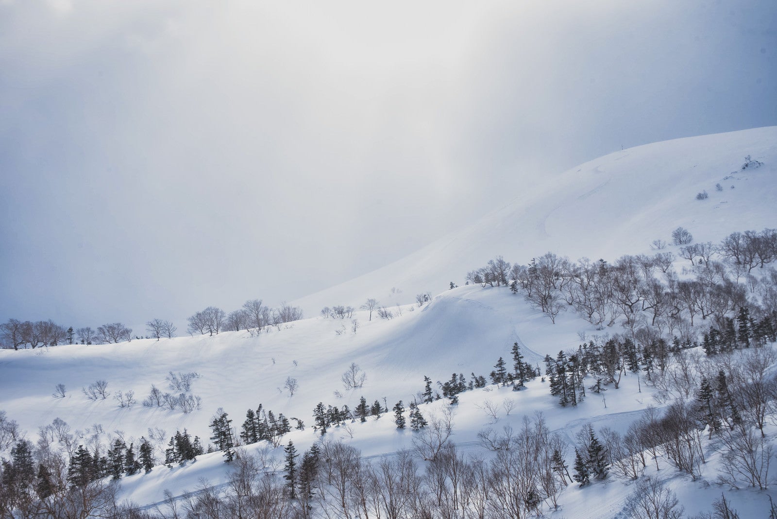 「日が差し込む冬の乗鞍高原（北アルプス）」の写真