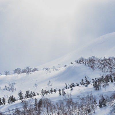 日が差し込む冬の乗鞍高原（北アルプス）の写真