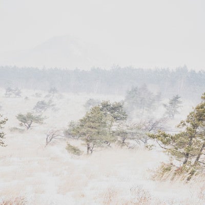 吹雪の中の車山高原の写真