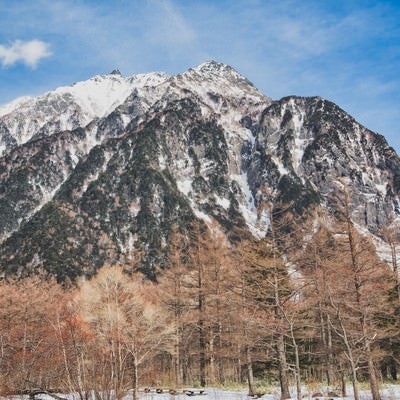 雪化粧した木々と明神岳の写真