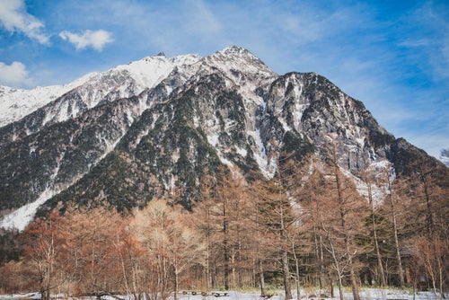 雪化粧した木々と明神岳の写真