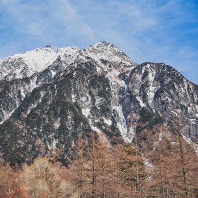 麓の森越しに見る明神岳の写真