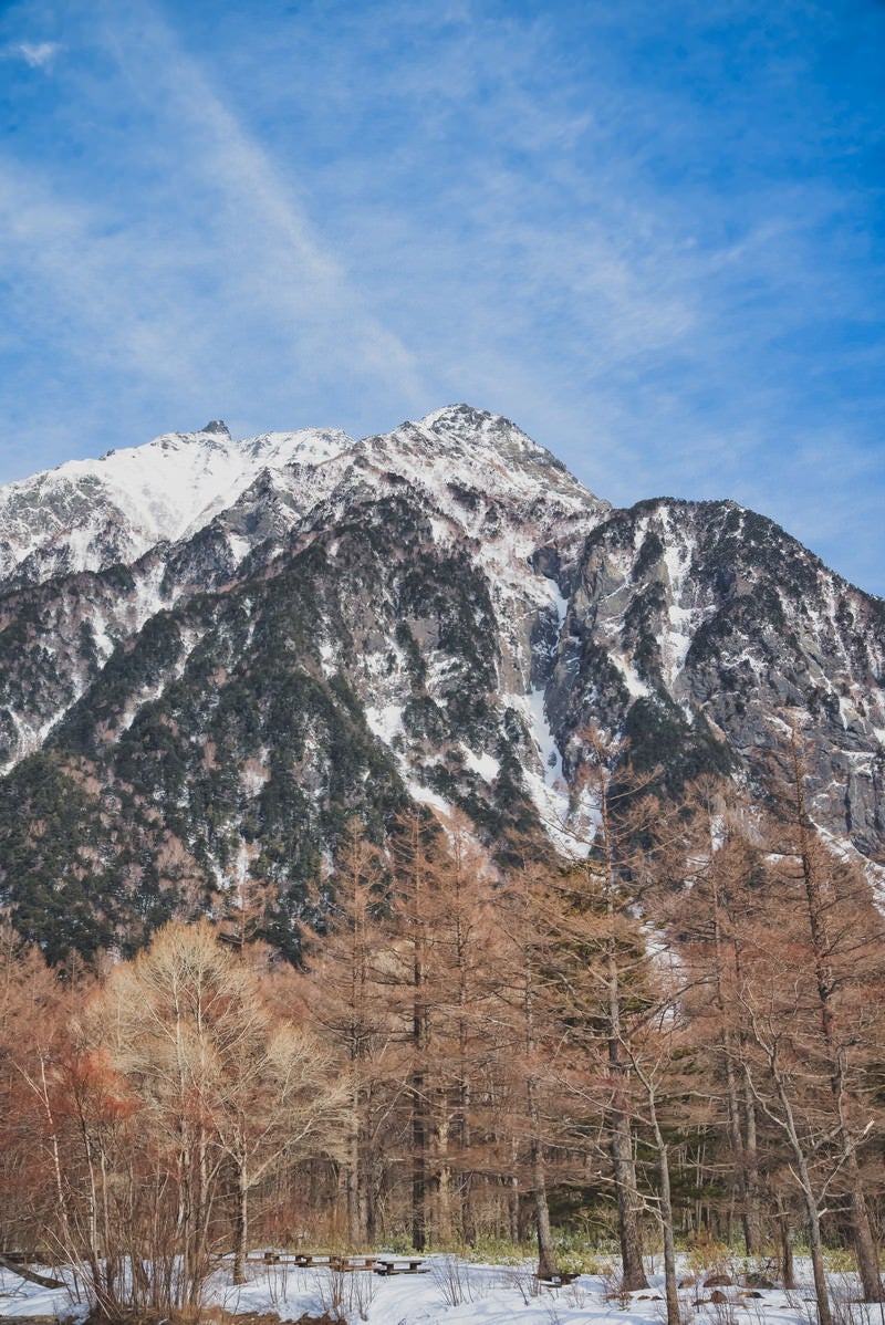 「麓の森越しに見る明神岳」の写真