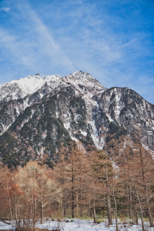 麓の森越しに見る明神岳の写真