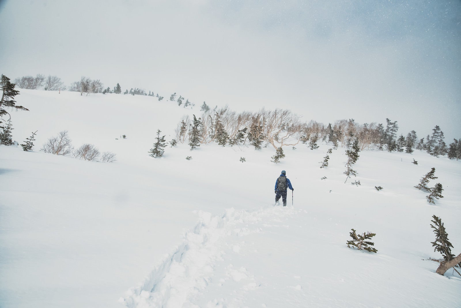 「雪深い雪原を進む登山者」の写真