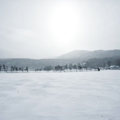 凍結した白樺湖（しらかばこ）の写真
