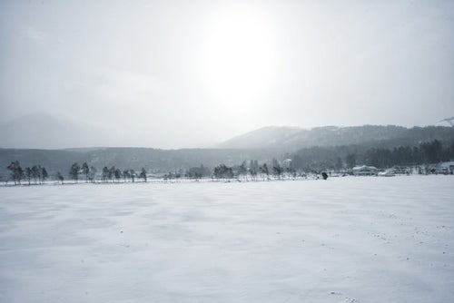 凍結した白樺湖（しらかばこ）の写真
