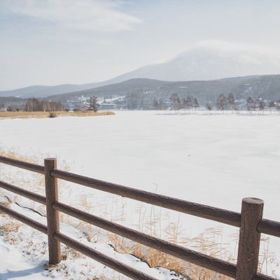 冬の白樺湖畔の遊歩道から見た景色の写真