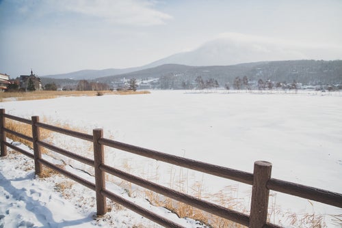 冬の白樺湖畔の遊歩道から見た景色の写真