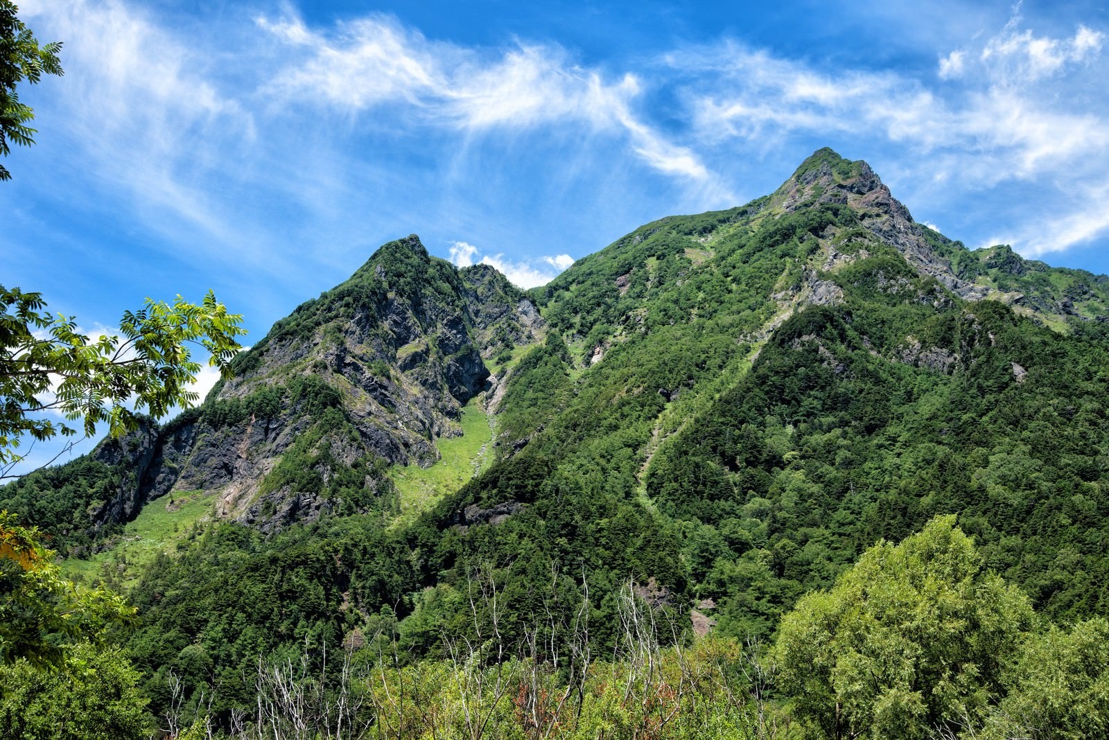 「上高地から見上げる明神岳の新緑」の写真