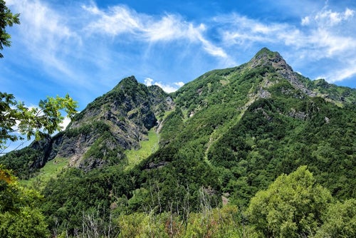 上高地から見上げる明神岳の新緑の写真