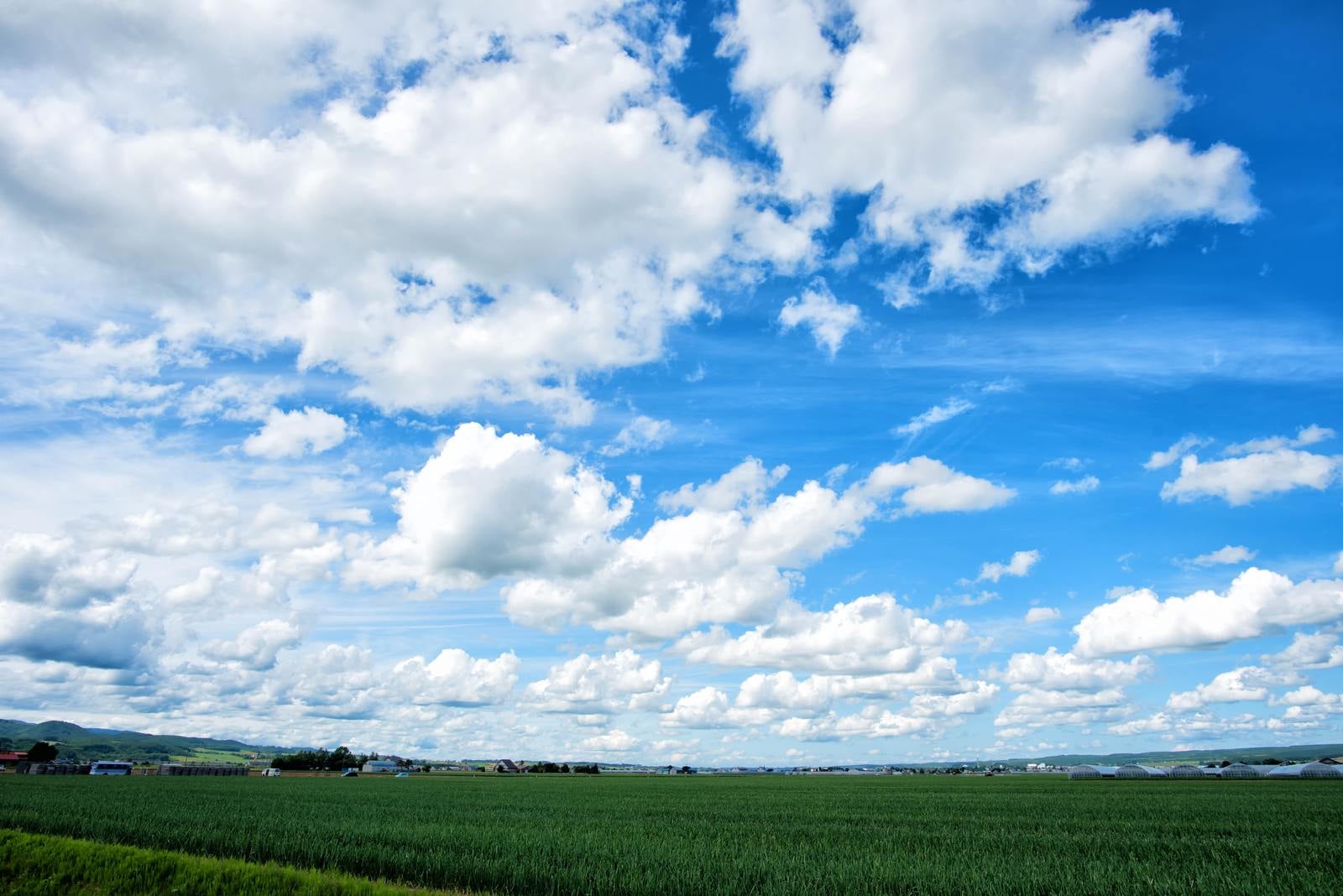 「北海道の広大な畑と空」の写真