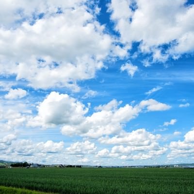 北海道の広大な畑と空の写真