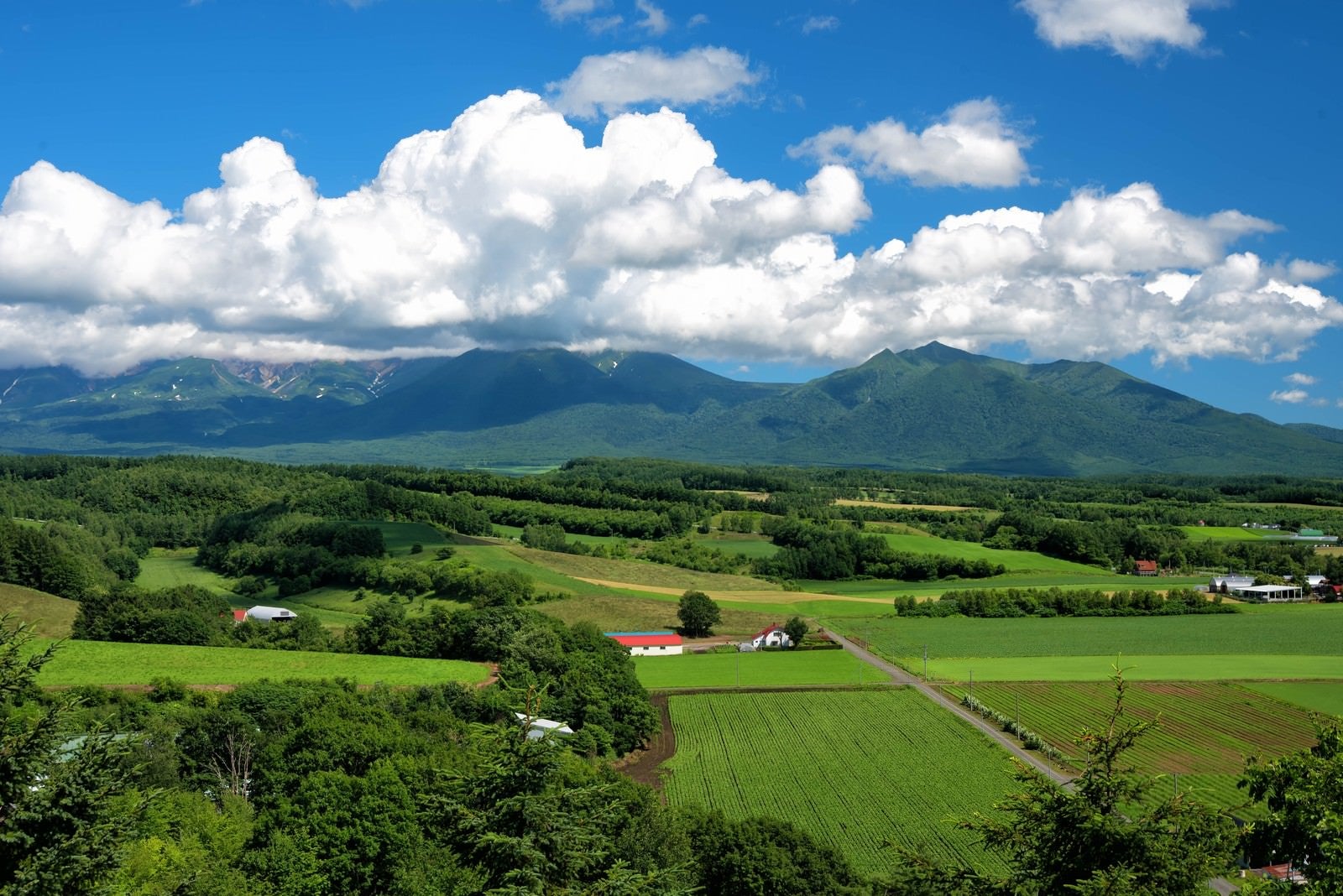 「十勝岳に広がる積雲」の写真
