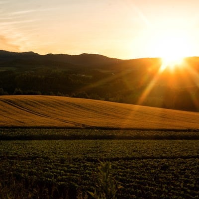 富良野の畑から見える夕日の写真