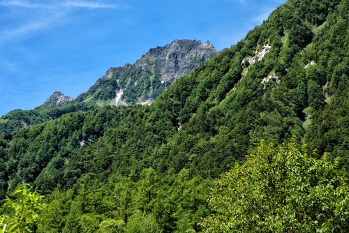 登山道から見える明神岳の岩壁の写真