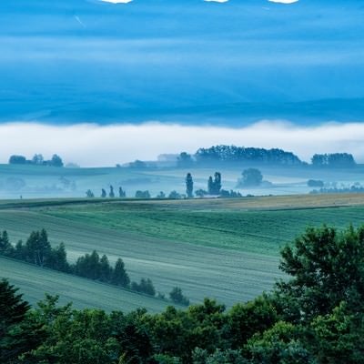 朝霧に包まれる美瑛町の丘の写真