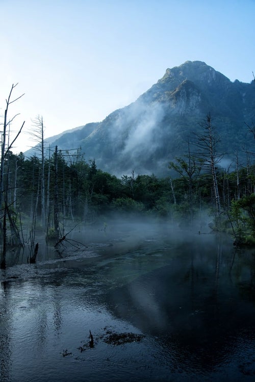 朝霧に包まれる岳沢湿原と明神岳の写真