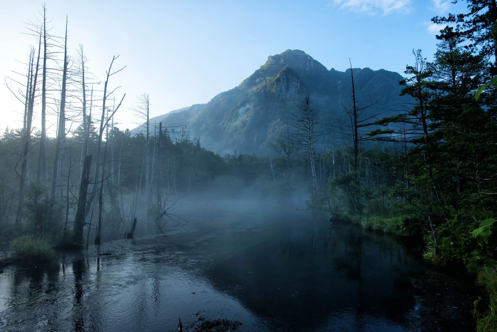 「朝霧に包まれる岳沢湿原と明神岳」の写真