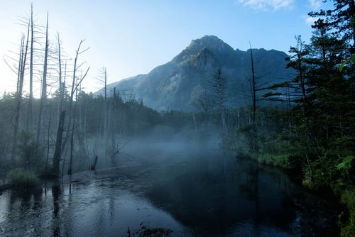 朝霧に包まれる岳沢湿原と明神岳の写真