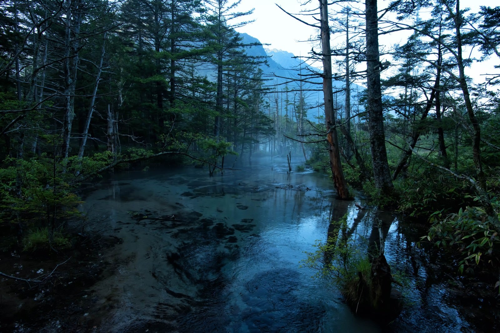 「静寂に包まれる岳沢湿原の朝霧」の写真