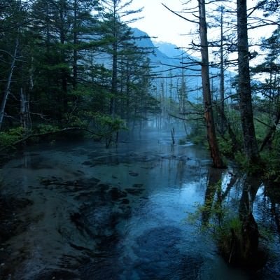 静寂に包まれる岳沢湿原の朝霧の写真