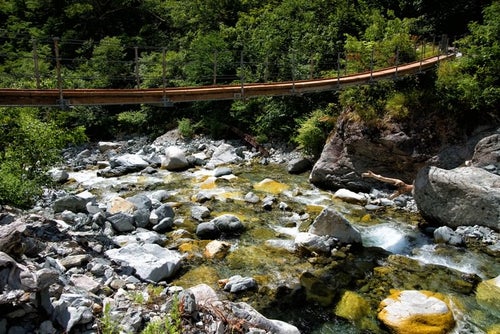 本谷にあるつり橋と川の流れの写真