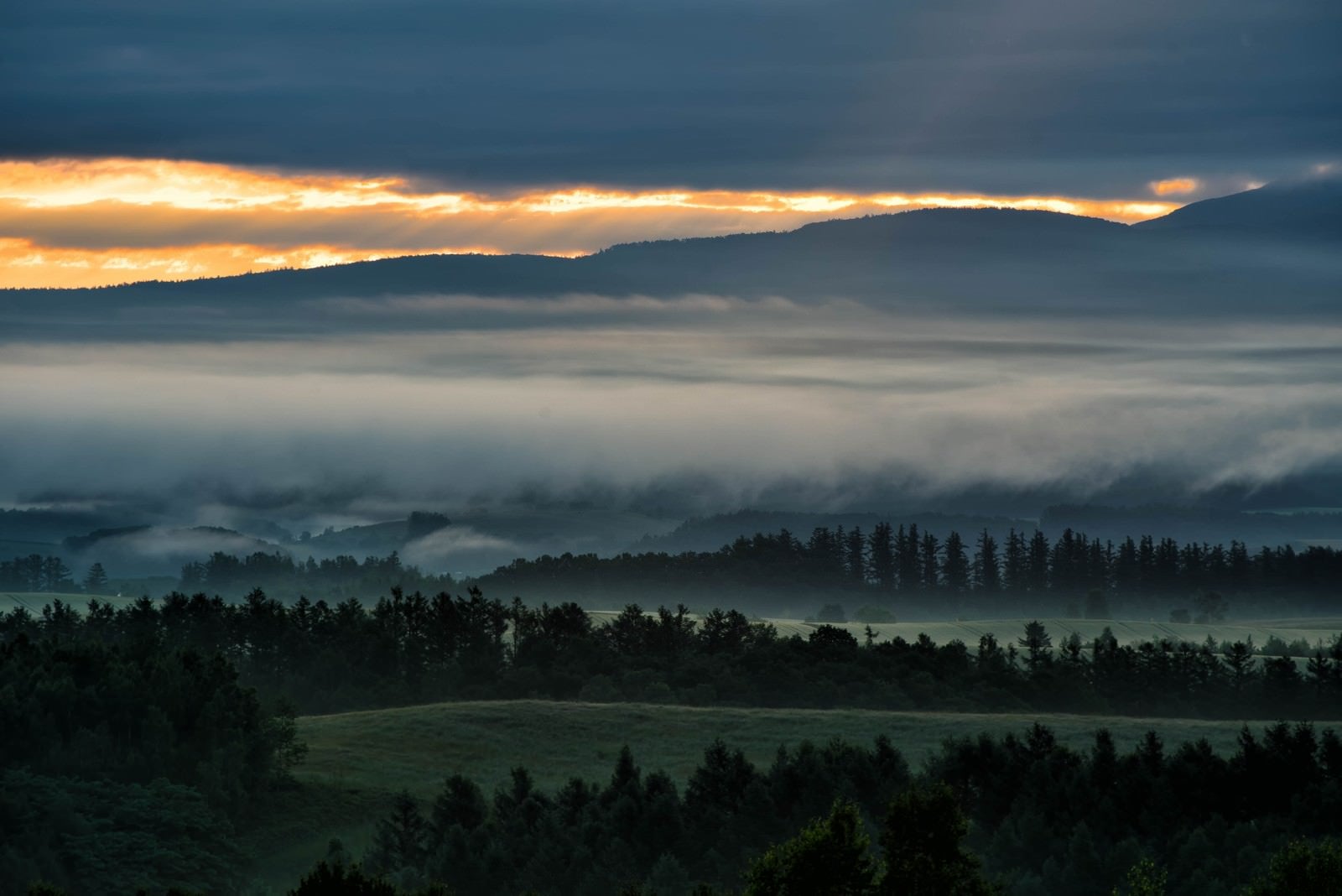 「朝霧に包まれる美瑛町の朝焼け」の写真