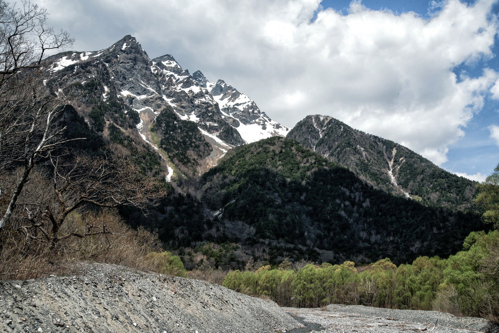 「新緑の明神岳と麓の森」の写真