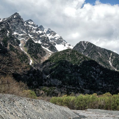 新緑の明神岳と麓の森の写真
