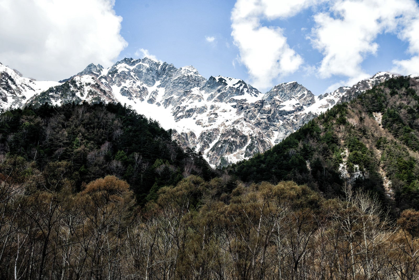 「森から眺める残雪の明神岳」の写真