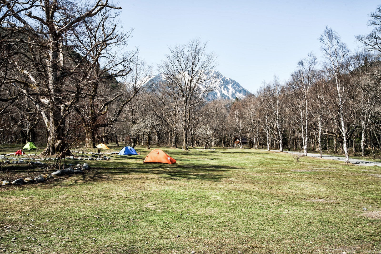 「長閑なキャンプ場サイトに立つテント（徳澤園）」の写真
