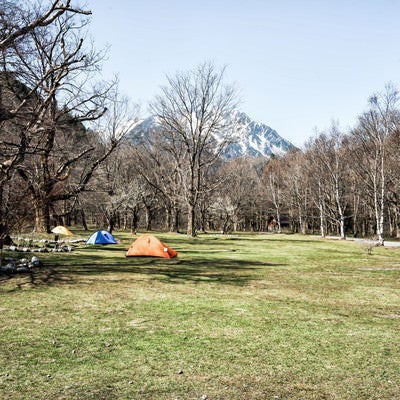 長閑なキャンプ場サイトに立つテント（徳澤園）の写真