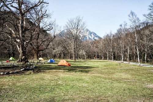 長閑なキャンプ場サイトに立つテント（徳澤園）の写真