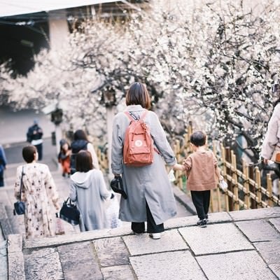 花見をする親子の後姿の写真