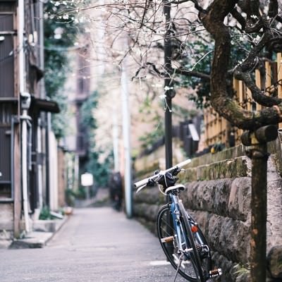 梅の花と路地に停まった自転車の写真