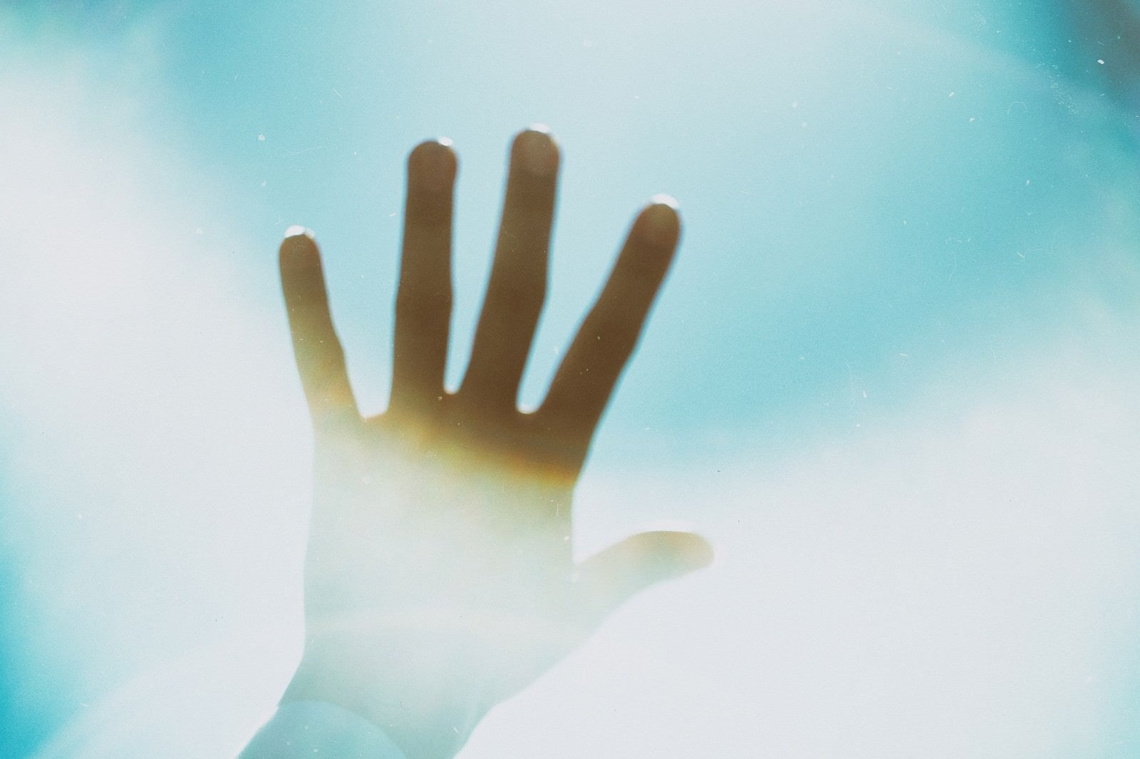 「空に向けた手」の写真