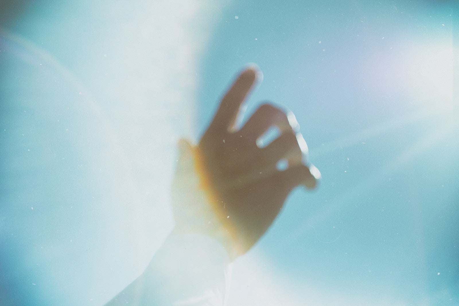 「陽の光に手をのばす」の写真