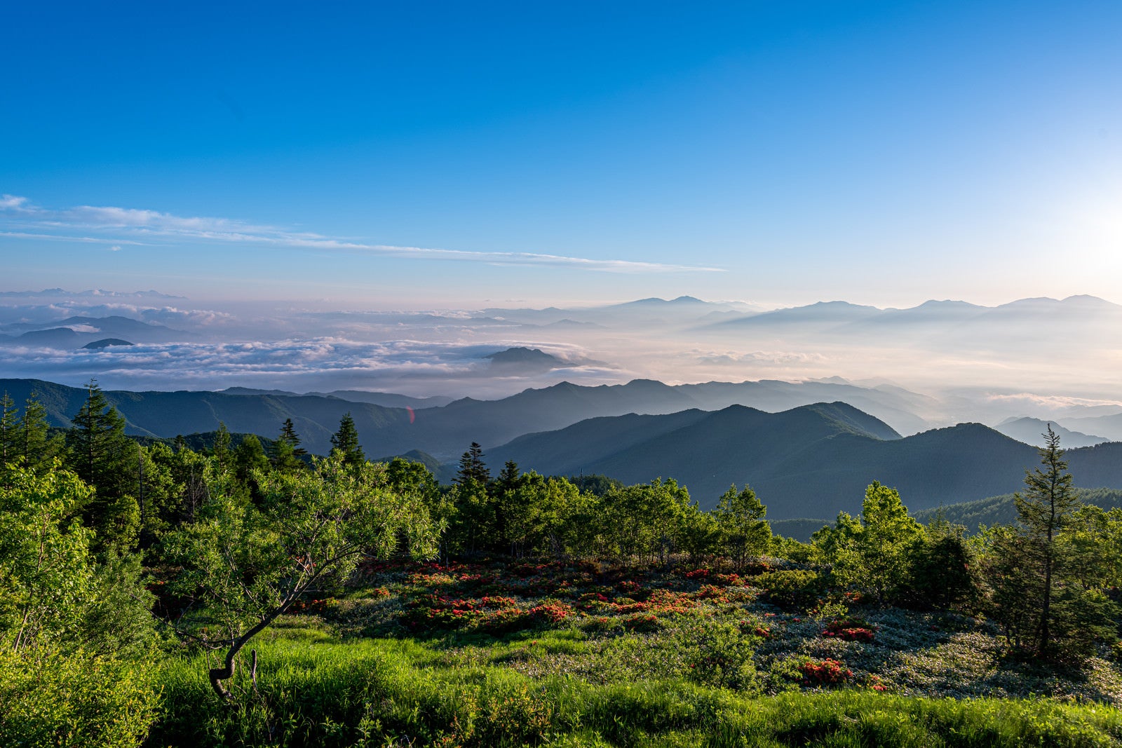 「山頂から見る雲海と山並み」の写真