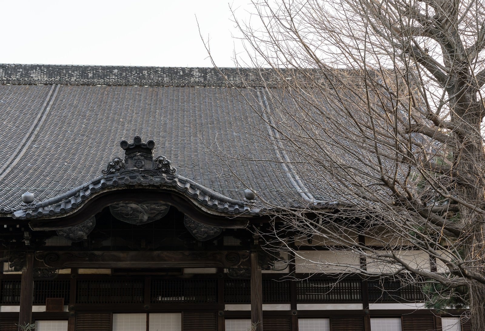 「冬のお寺」の写真
