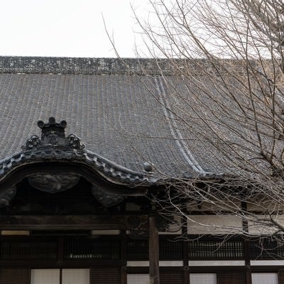 冬のお寺の写真